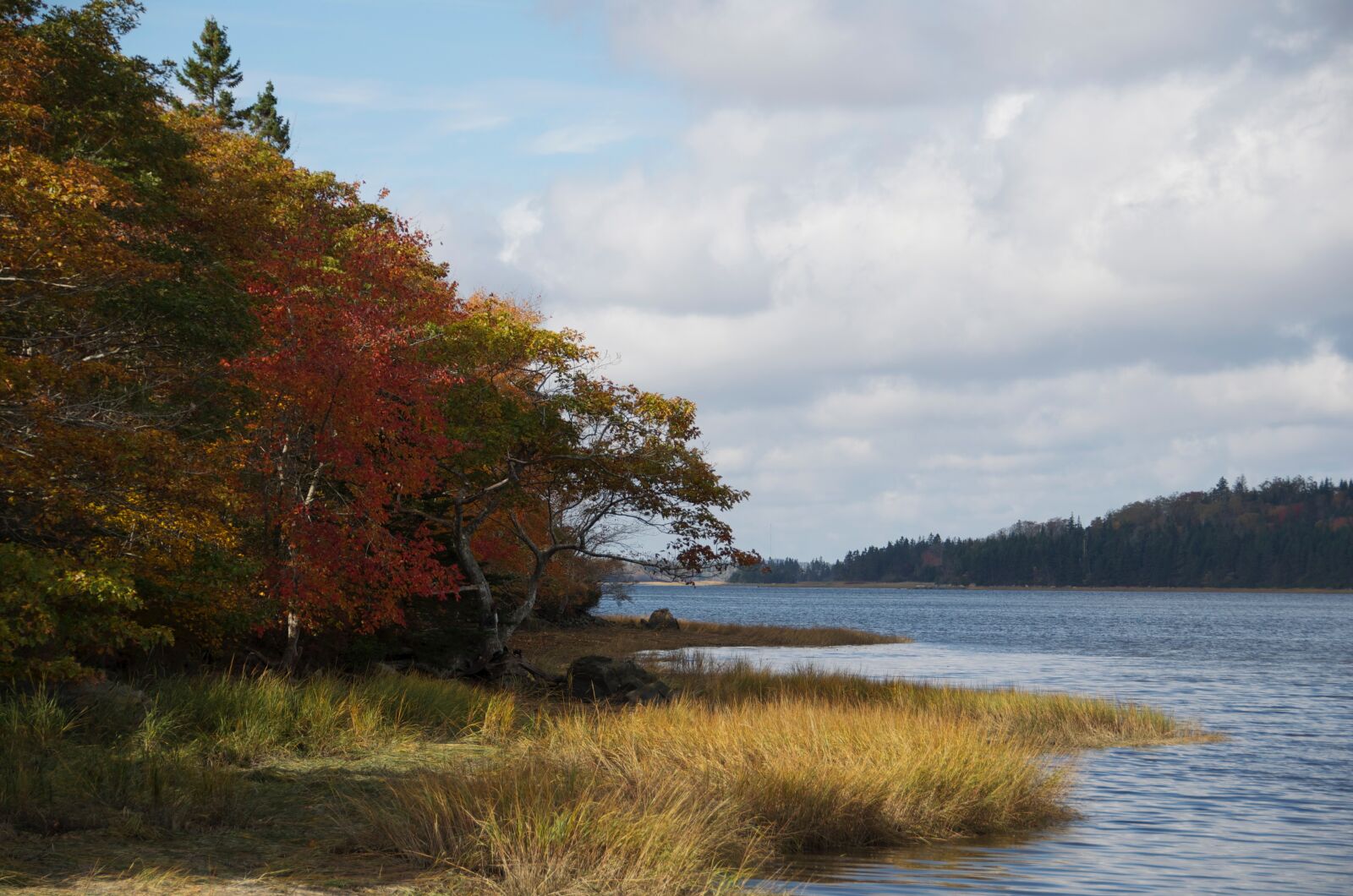 Nikon D5100 sample photo. Colors, landscape, fall photography