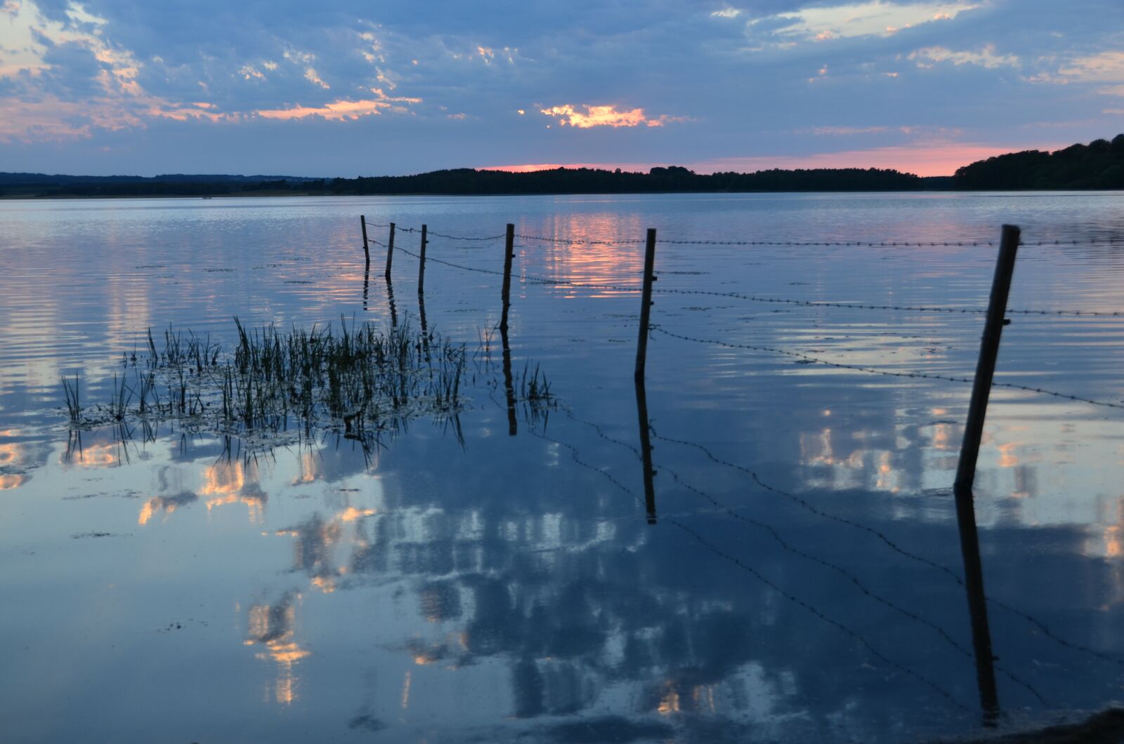 Nikon D7000 sample photo. S vdesj n, nature photography