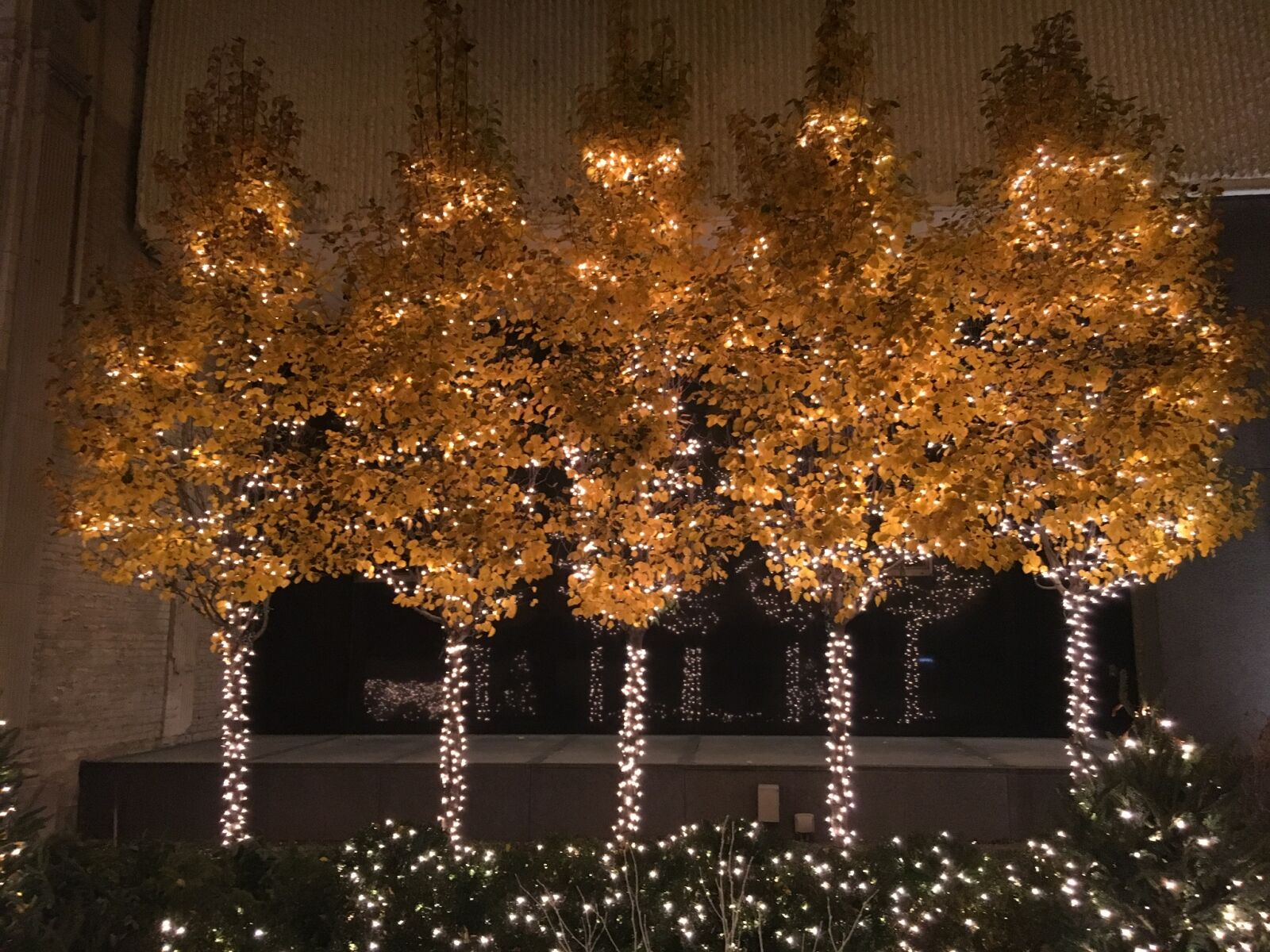 iPhone 6s back camera 4.15mm f/2.2 sample photo. Christmas, christmas, lights photography