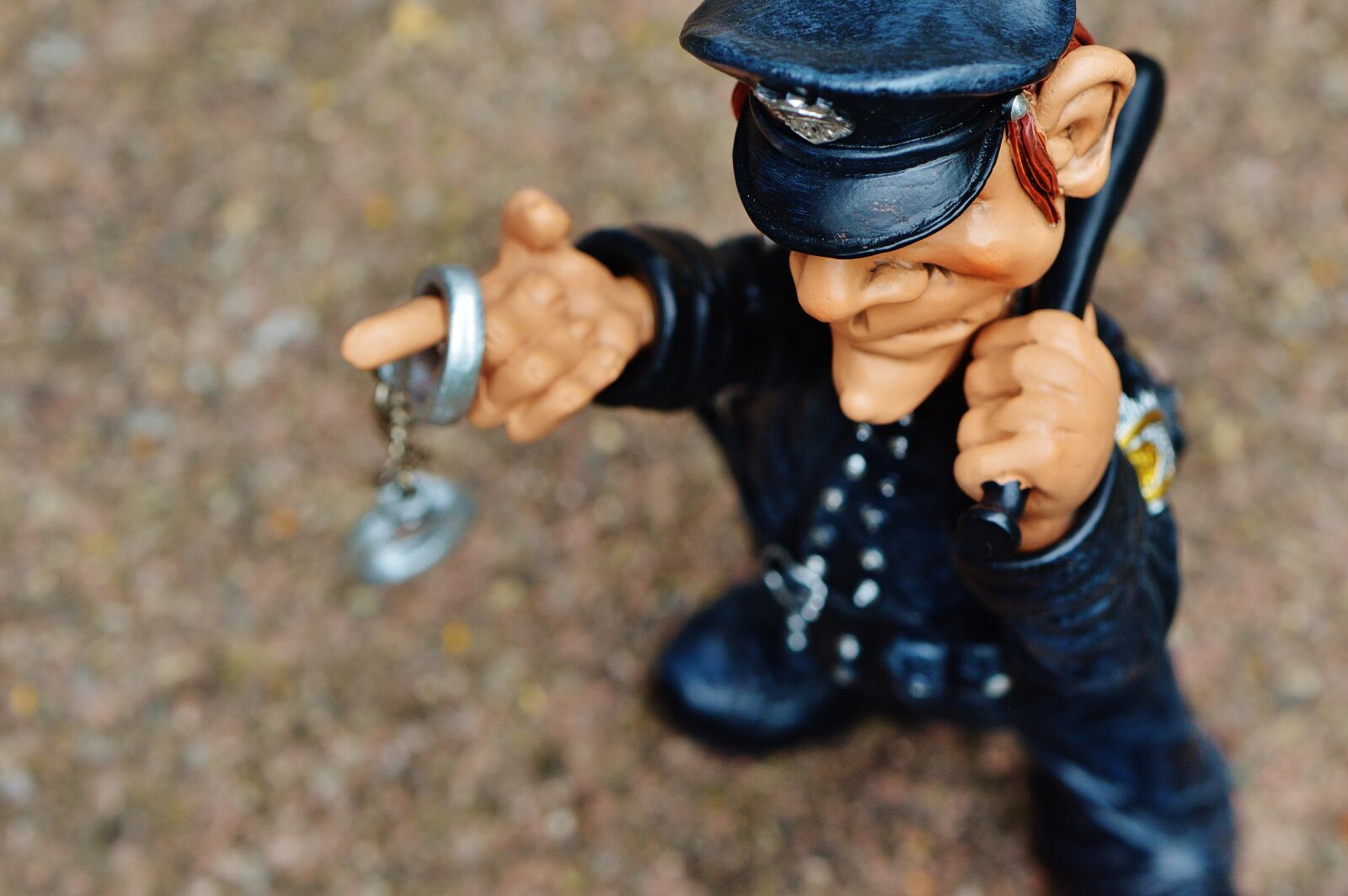 Nikon D3200 sample photo. Cop, funny, figure photography