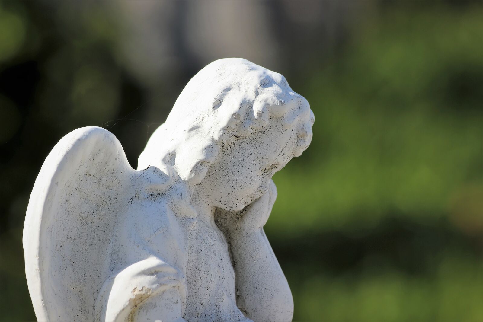 Canon EOS 200D (EOS Rebel SL2 / EOS Kiss X9) + Canon EF 70-300mm F4-5.6 IS USM sample photo. White stone angel, crying photography