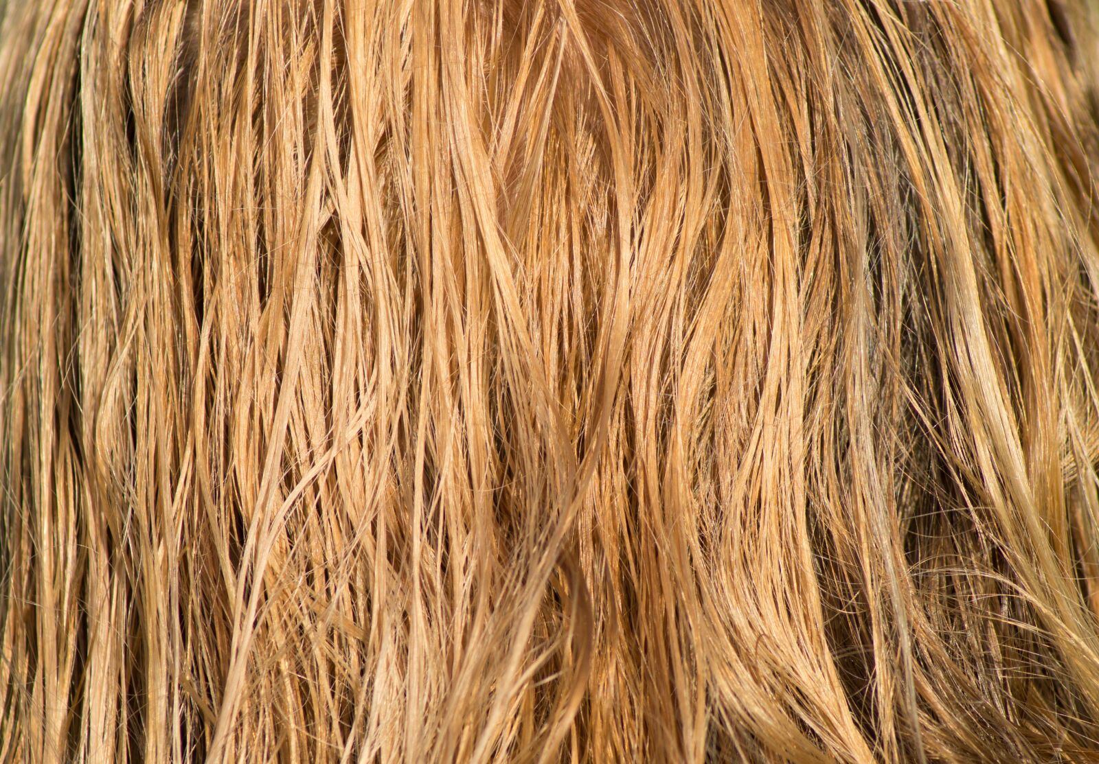 Sony SLT-A57 sample photo. Hair, blond, wet photography