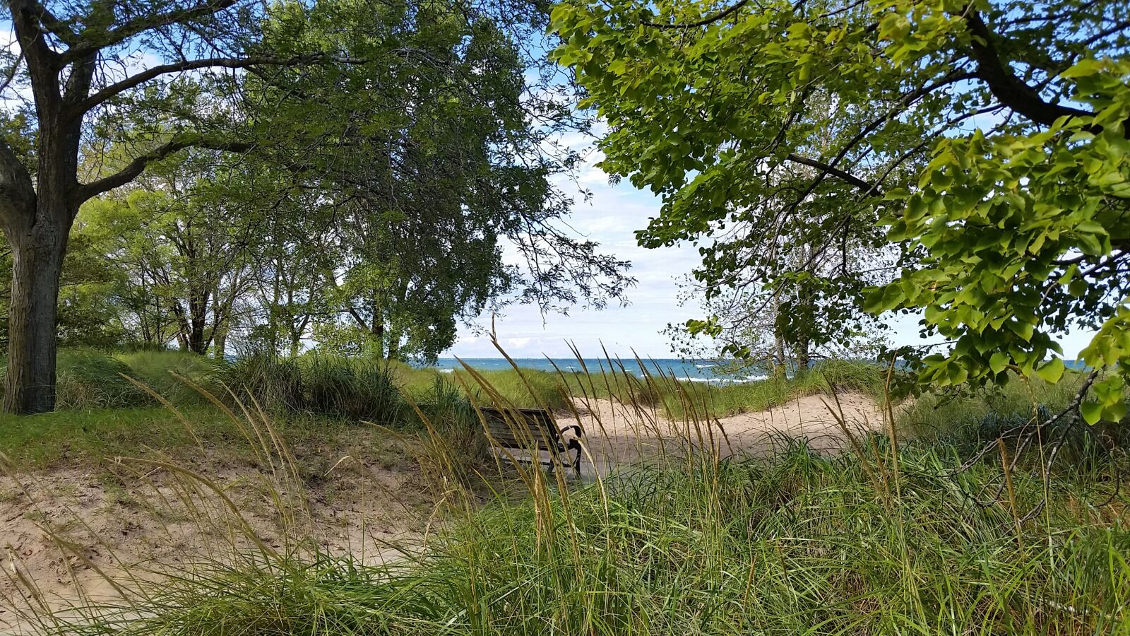 Samsung Galaxy S5 sample photo. Water, lake michigan, lake photography
