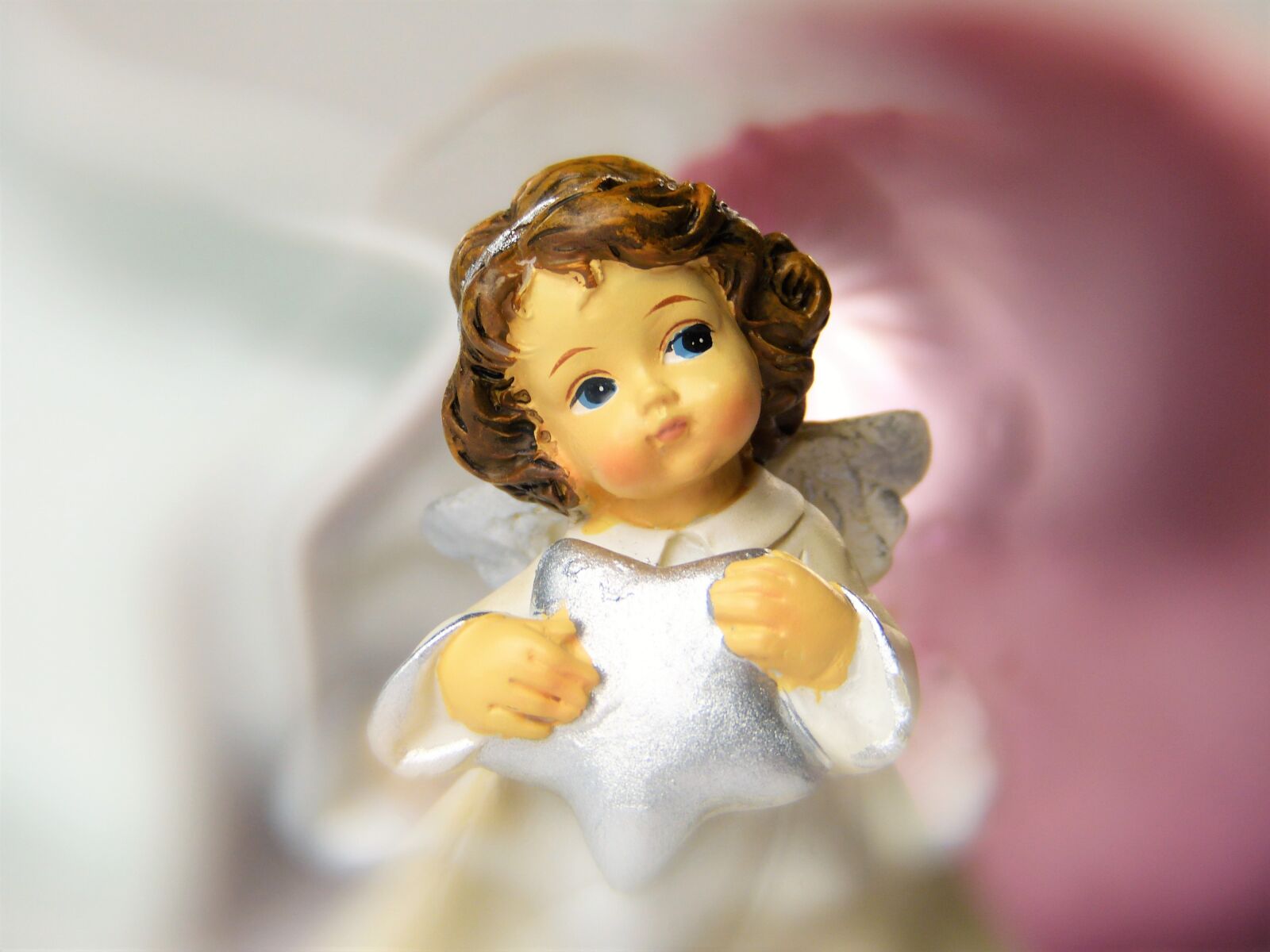 Panasonic Lumix DMC-FZ150 sample photo. Angel, pink, white photography