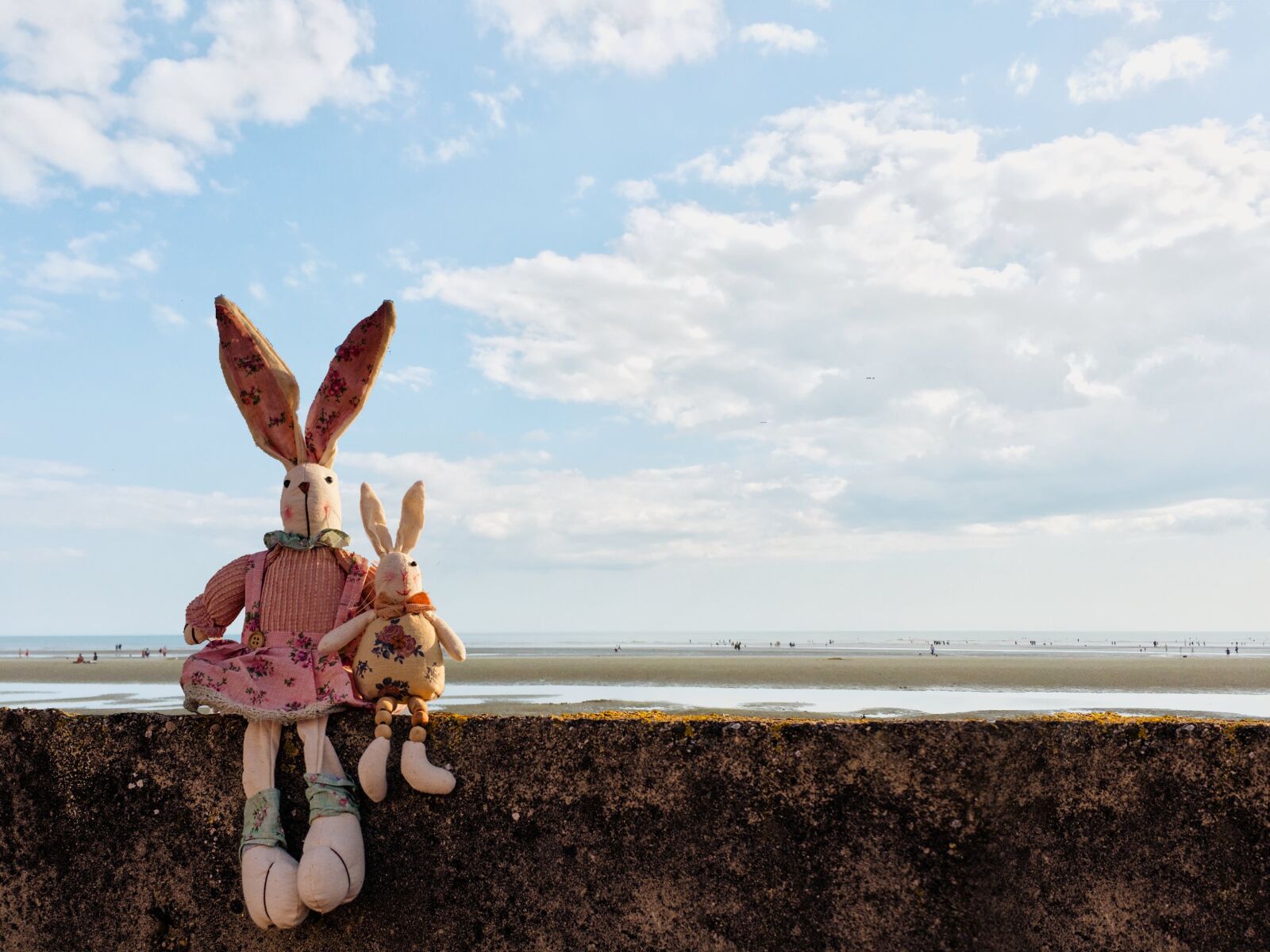 Apple iPhone 6 sample photo. Rabbits, clouds, wall photography
