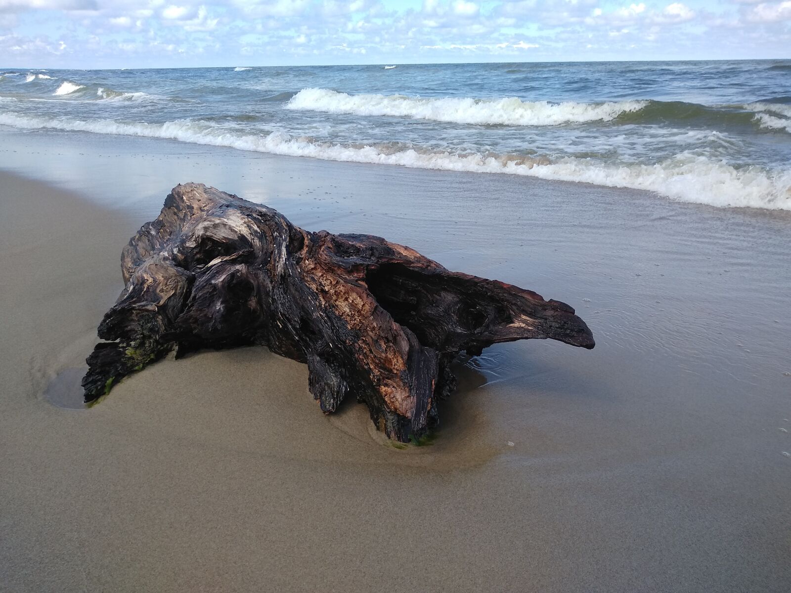 Xiaomi Redmi 5 sample photo. Sea, log, wood photography