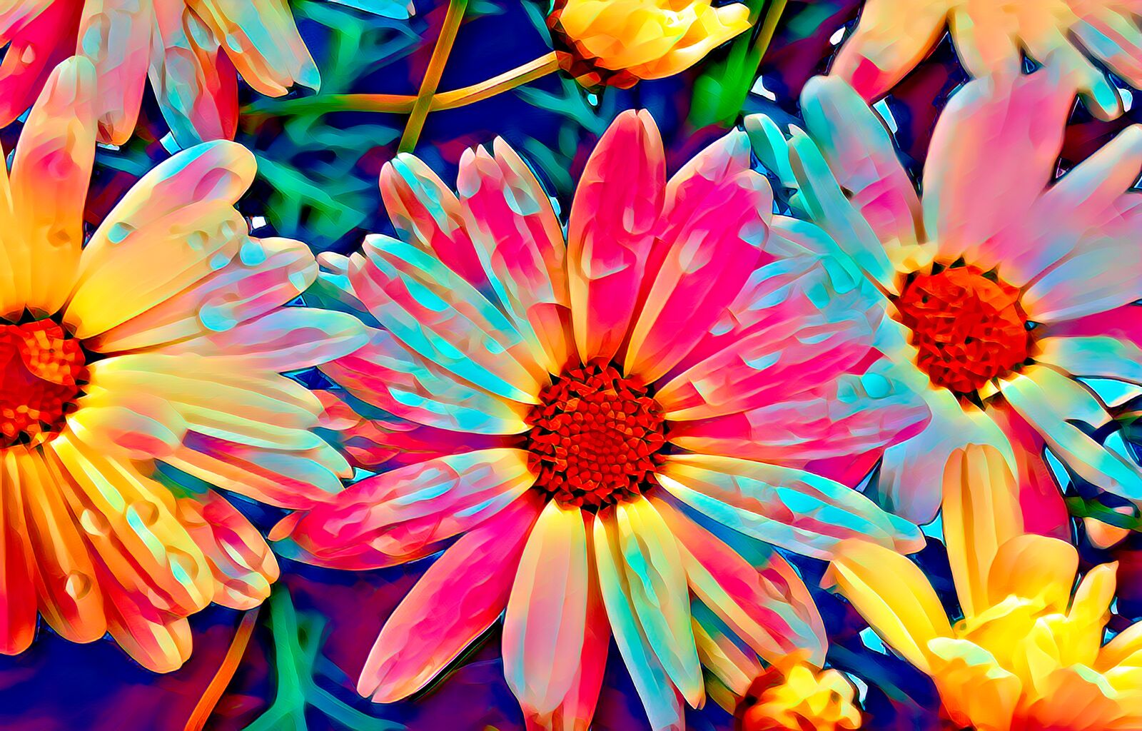 Canon EOS 70D sample photo. China aster, garden aster photography