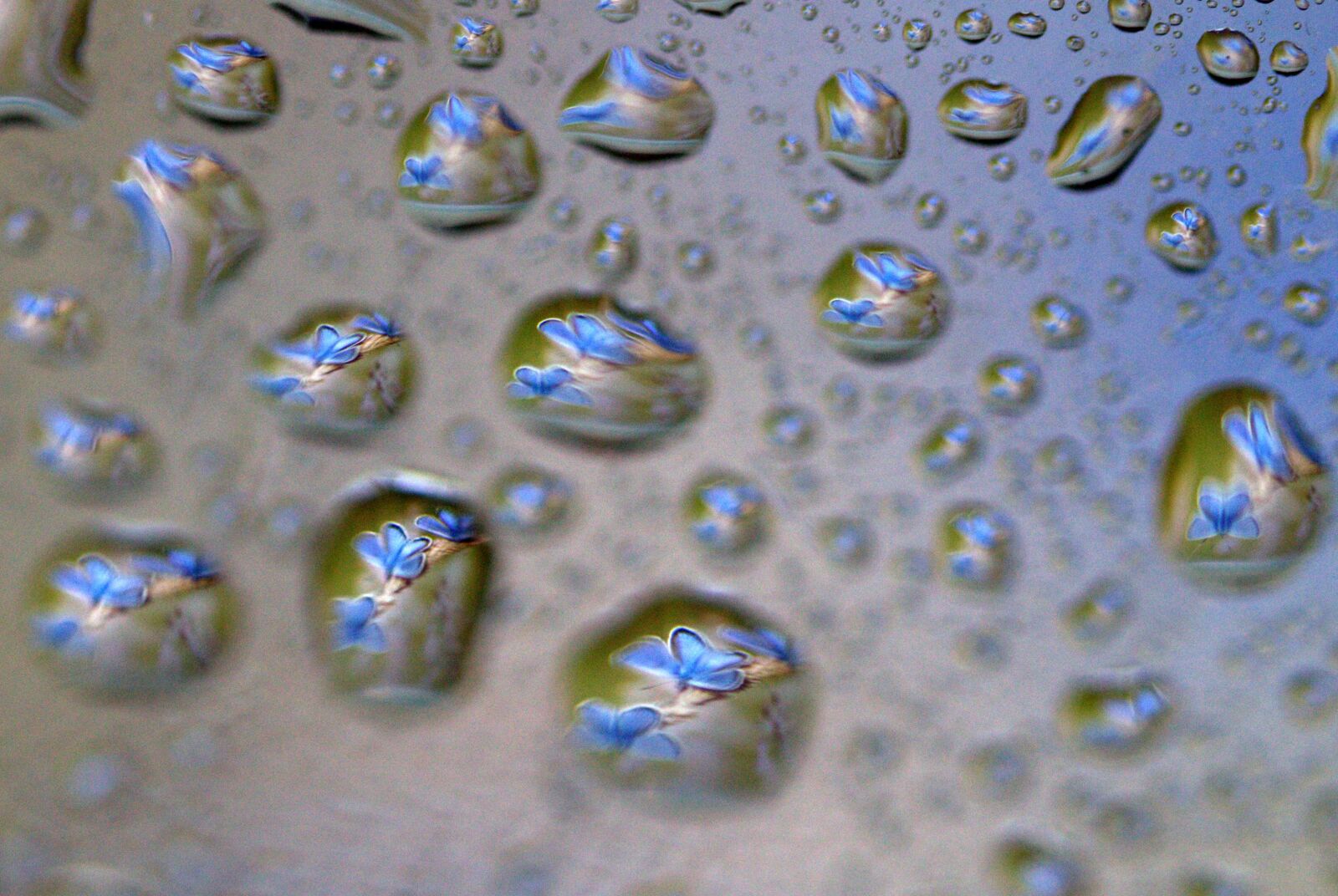 Canon EF-S 60mm F2.8 Macro USM sample photo. Drops, reflection, water photography