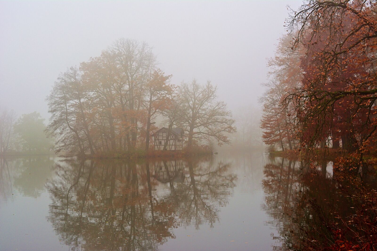 Nikon D5200 sample photo. Autumn, park, fog photography
