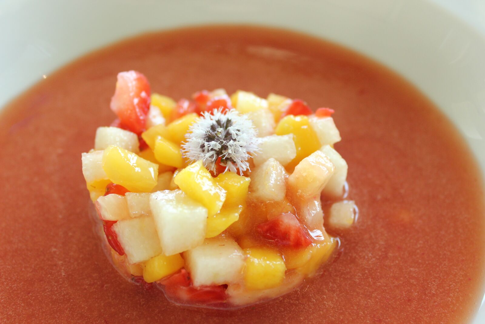 Canon EOS 600D (Rebel EOS T3i / EOS Kiss X5) sample photo. Food, soup, bowl photography