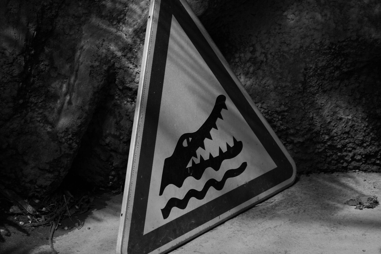 Canon EOS 400D (EOS Digital Rebel XTi / EOS Kiss Digital X) sample photo. Attention, crocodile, risk photography