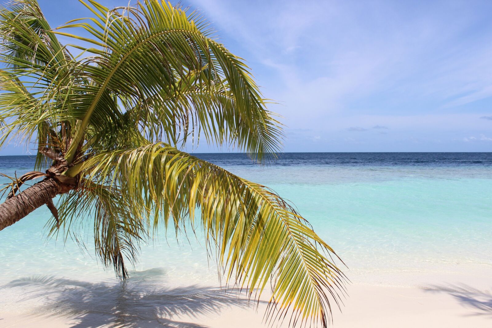 Canon EOS 600D (Rebel EOS T3i / EOS Kiss X5) sample photo. Island, sea, maldives photography