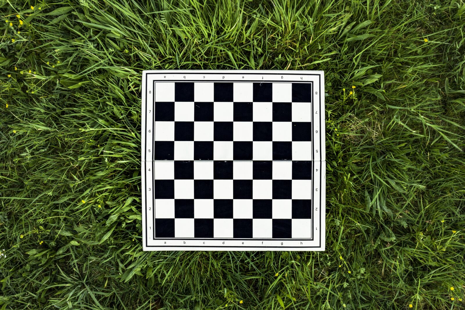 Hasselblad L1D-20c sample photo. Chess board, rush, aerial photography