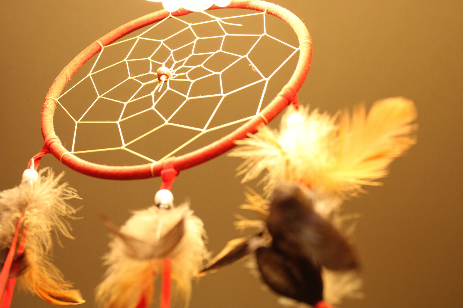 Canon EOS 2000D (EOS Rebel T7 / EOS Kiss X90 / EOS 1500D) + Canon EF-S 18-55mm F3.5-5.6 III sample photo. Dream catcher, amulet, totem photography