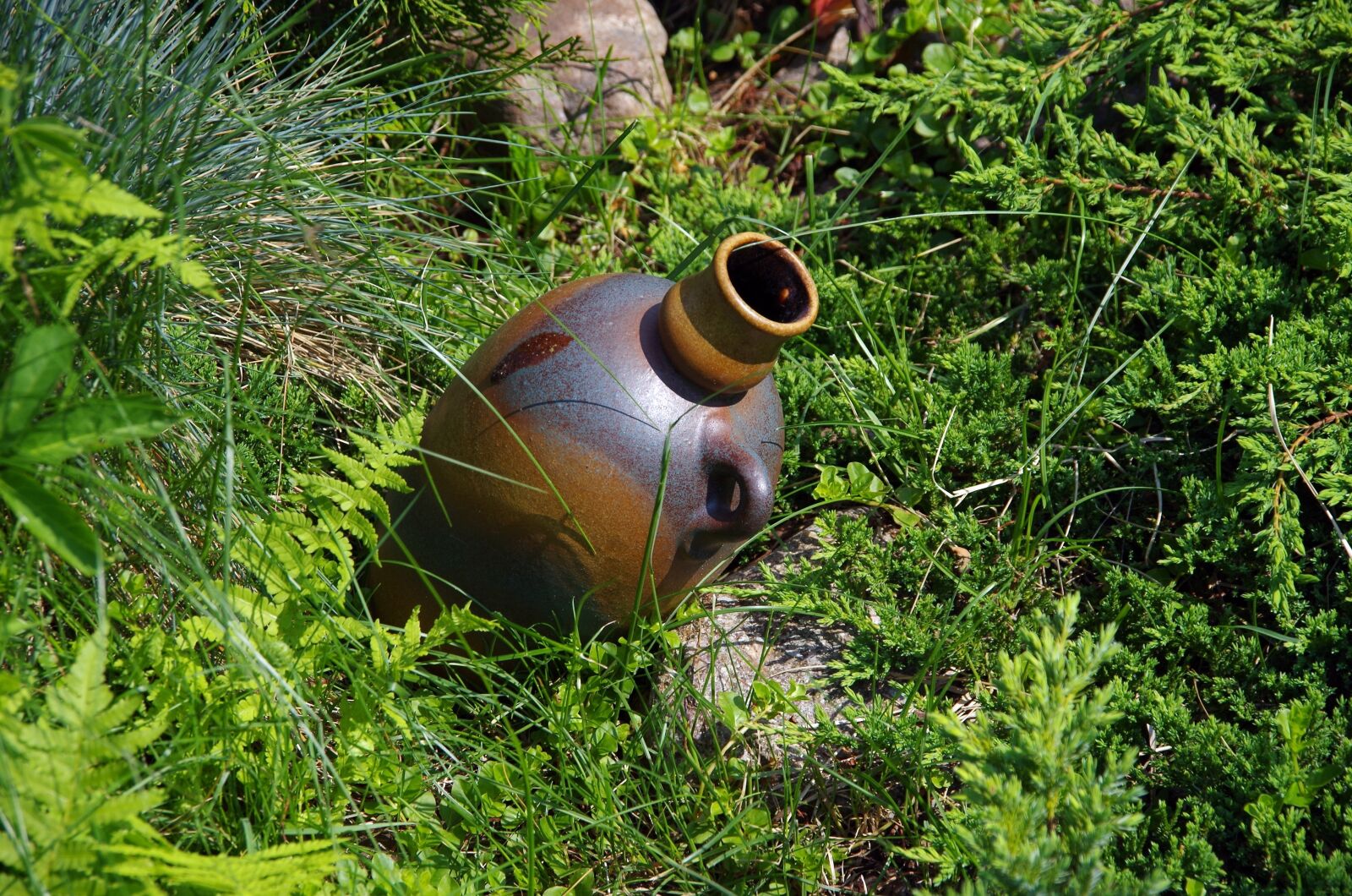 Pentax K-50 sample photo. Garden, nature, spring photography
