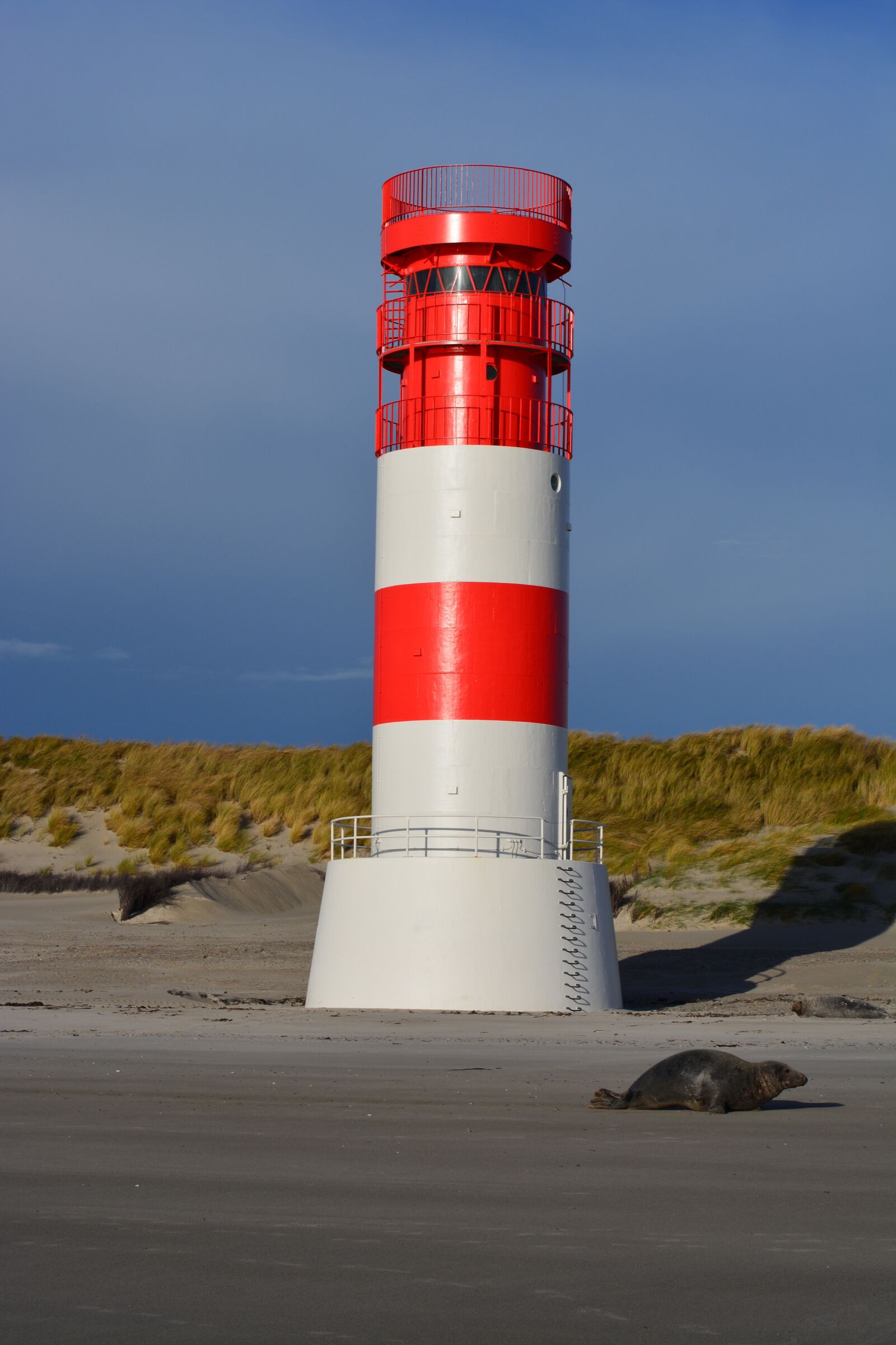 Nikon D5200 sample photo. Lighthouse, seal, beach photography