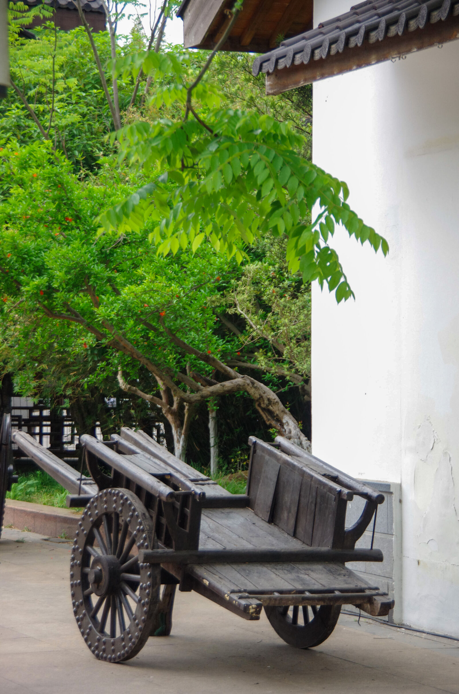 Pentax K-5 sample photo