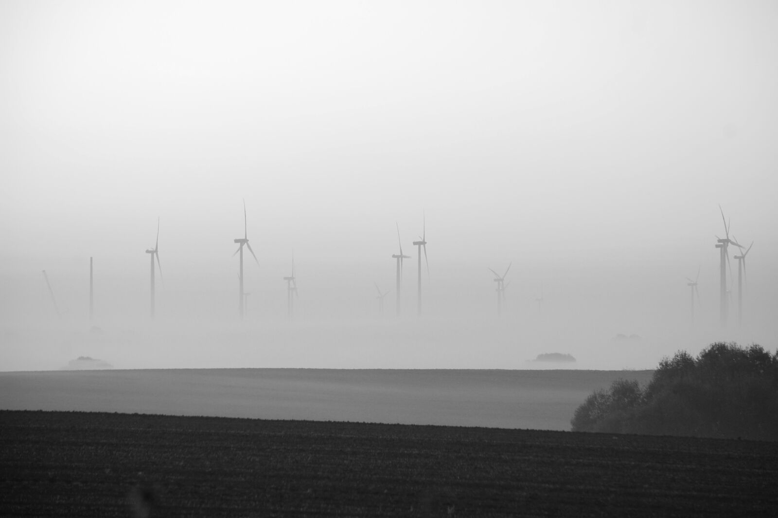 Nikon D40 sample photo. Sea, fog, waters photography