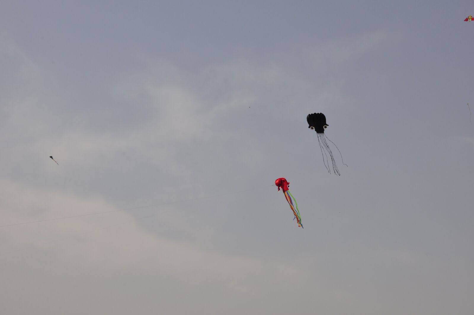 Nikon D90 sample photo. The scenery, the summer photography