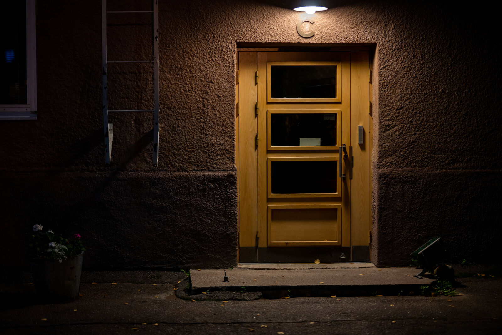 Nikon Z7 II sample photo. Doorway night photography