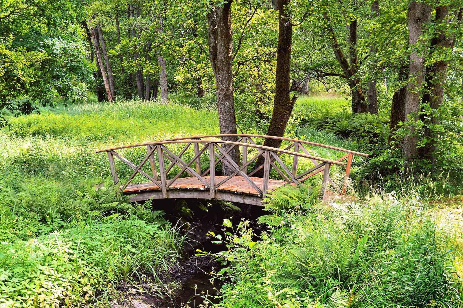 Nikon D3200 sample photo. Apladalen, värnamo, sweden photography