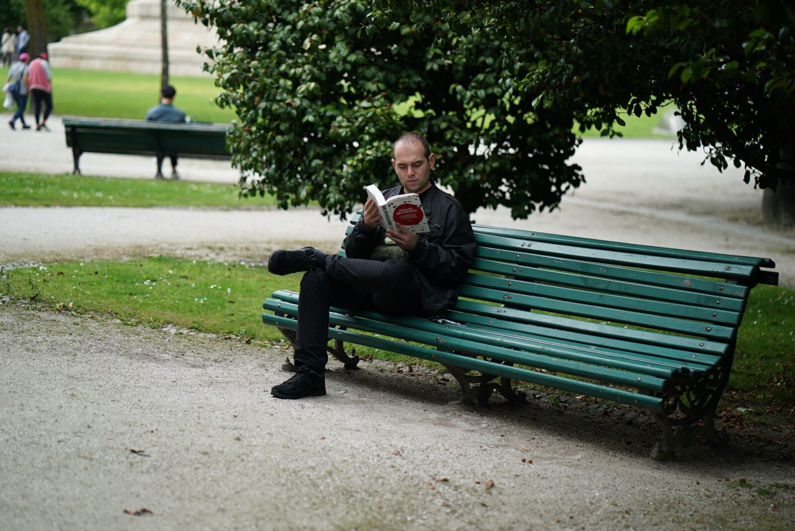 ZEISS Batis 85mm F1.8 sample photo. Poet, thinker, park photography