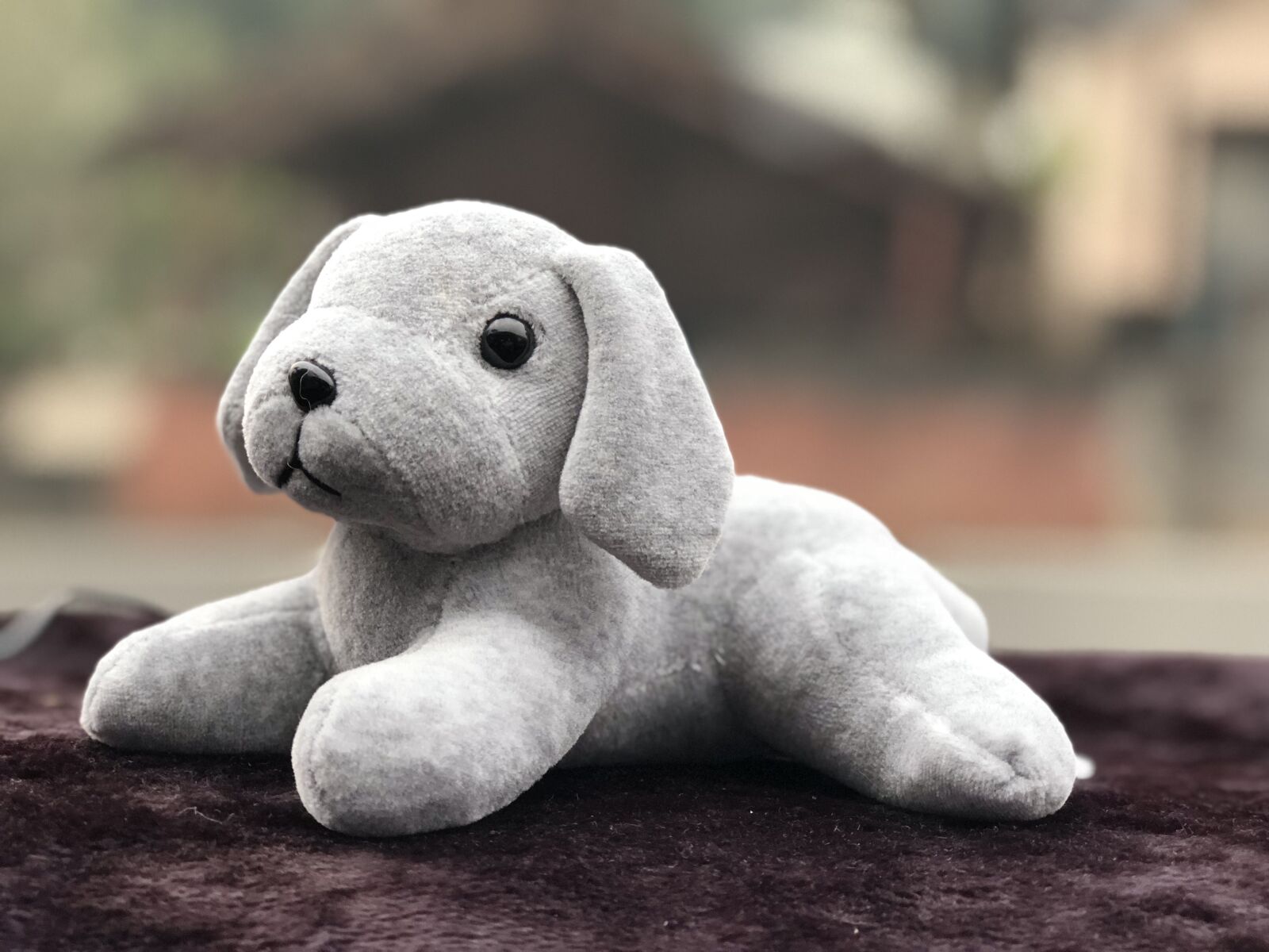 iPhone 8 Plus back dual camera 6.6mm f/2.8 sample photo. Cute, toys, gray photography