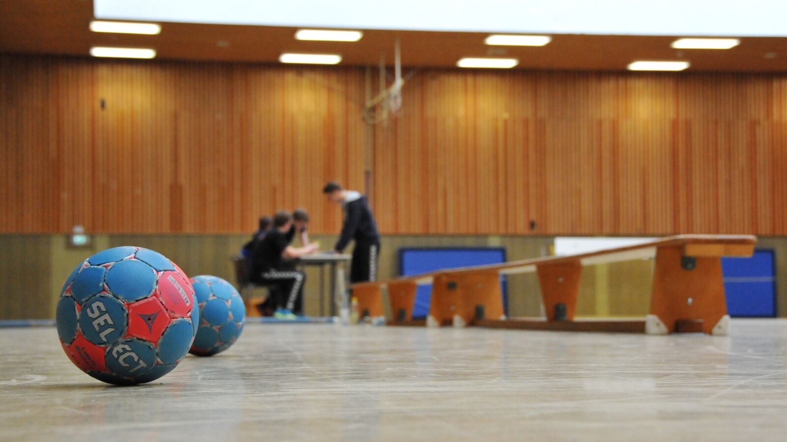 Nikon D300S sample photo. Handball, hall, ball photography