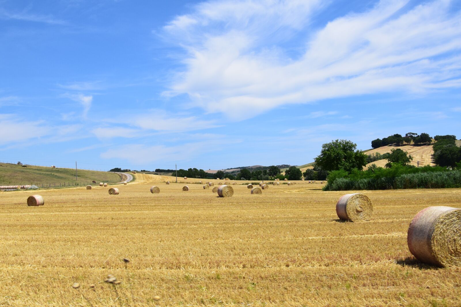 Nikon D3300 sample photo. Tuscany, hay bales, fields photography