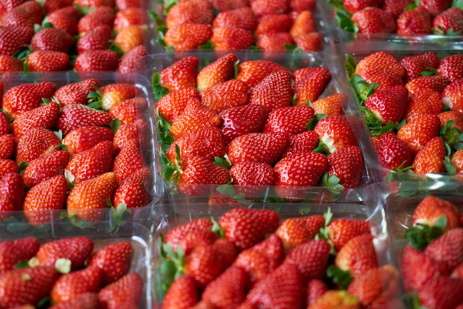 Sony a7R II sample photo. Strawberry, red, fruit photography
