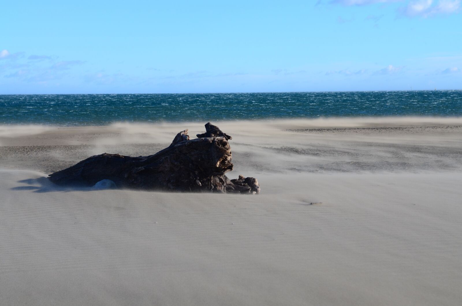 Nikon D7000 sample photo. Landscape, beach, trunk photography