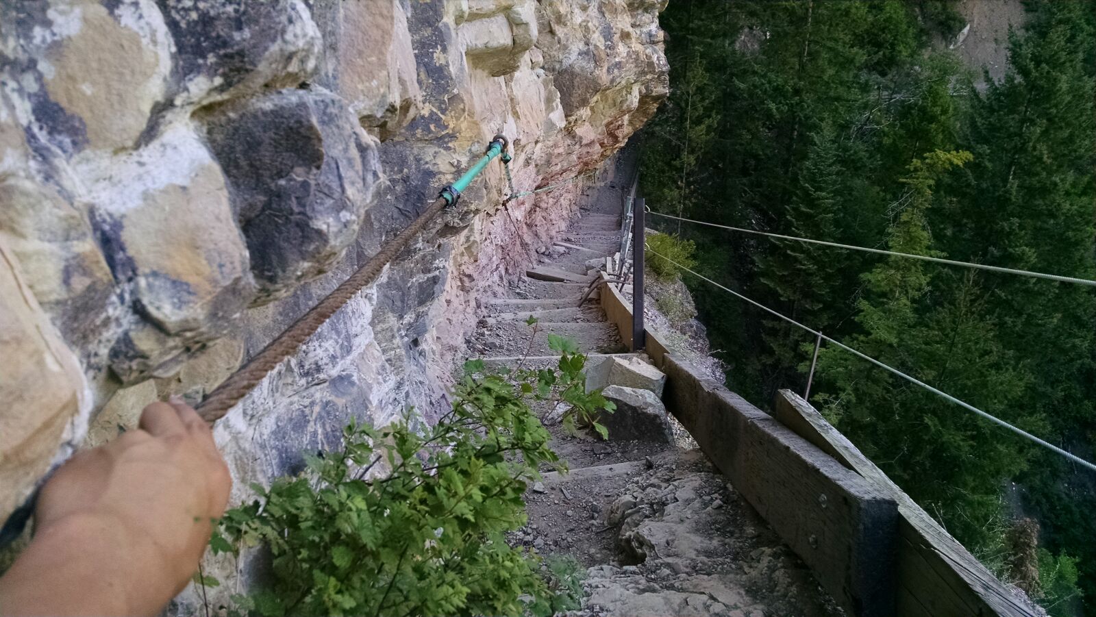 Motorola XT1080 sample photo. Stairs, trail, trees photography