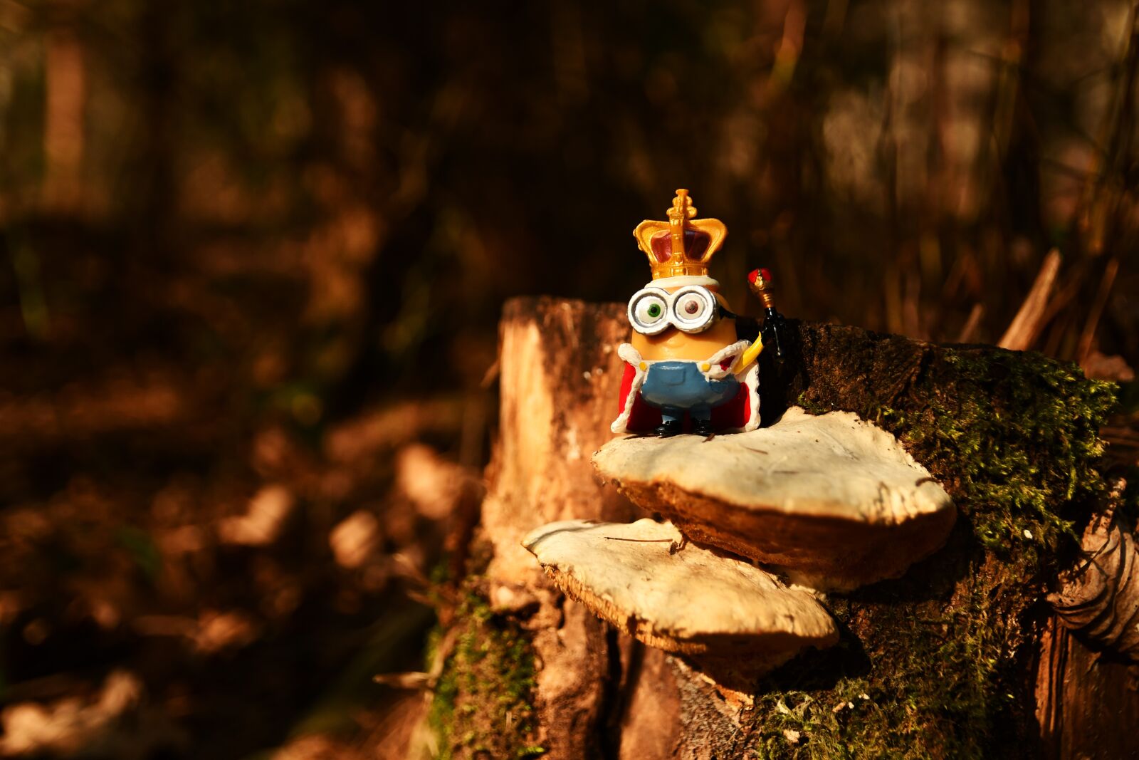 Nikon D7500 sample photo. Minion, funny, toys photography