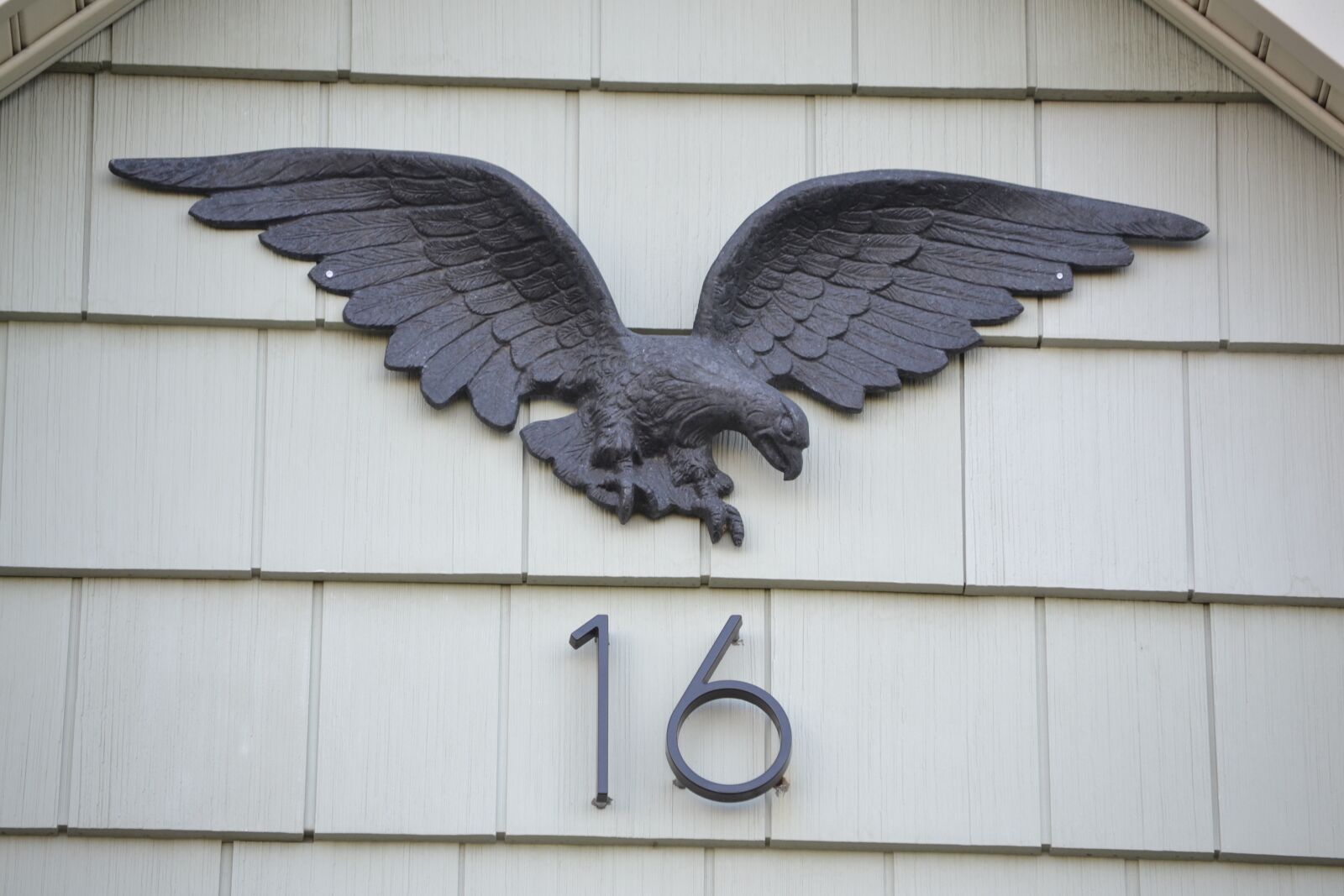 Nikon D3100 sample photo. Eagle, sixteen, bald eagle photography