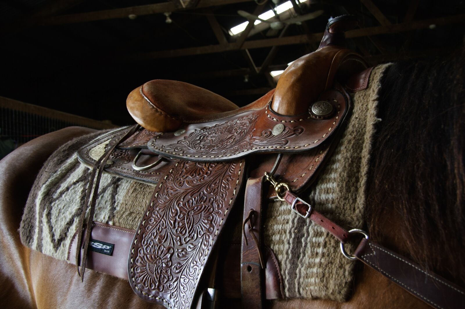 Canon EOS 20D sample photo. Western, saddle, ride photography