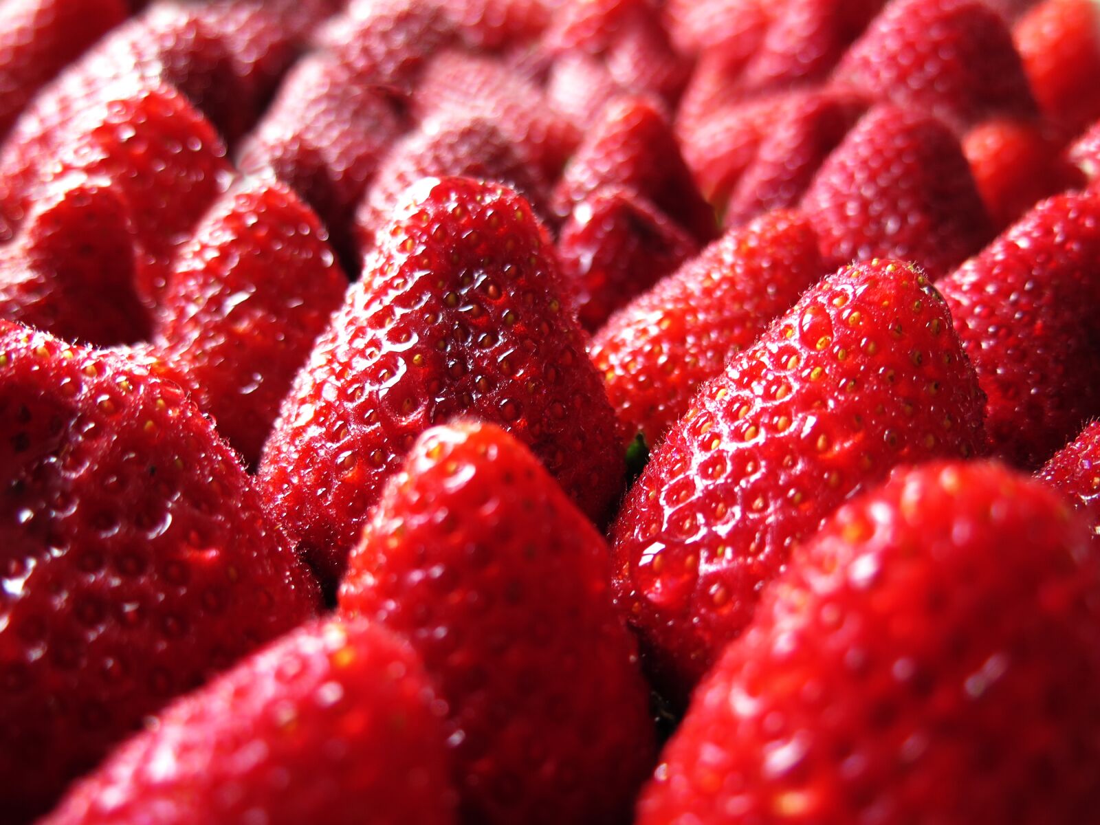 Canon PowerShot G16 sample photo. Strawberry, red, spring photography