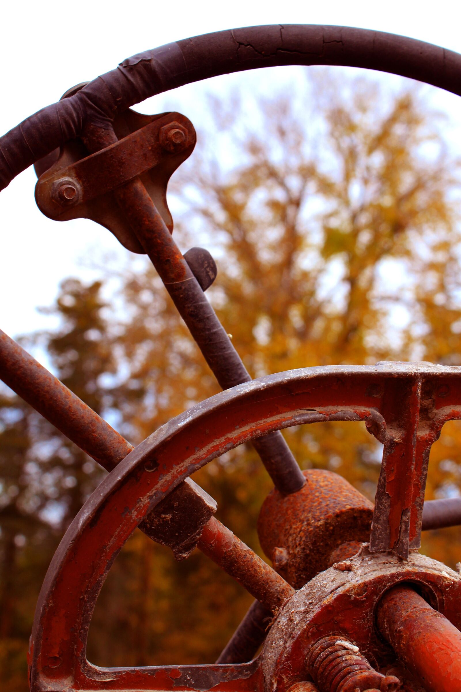 Canon EOS 500D (EOS Rebel T1i / EOS Kiss X3) sample photo. Tractor, autumn, rural photography