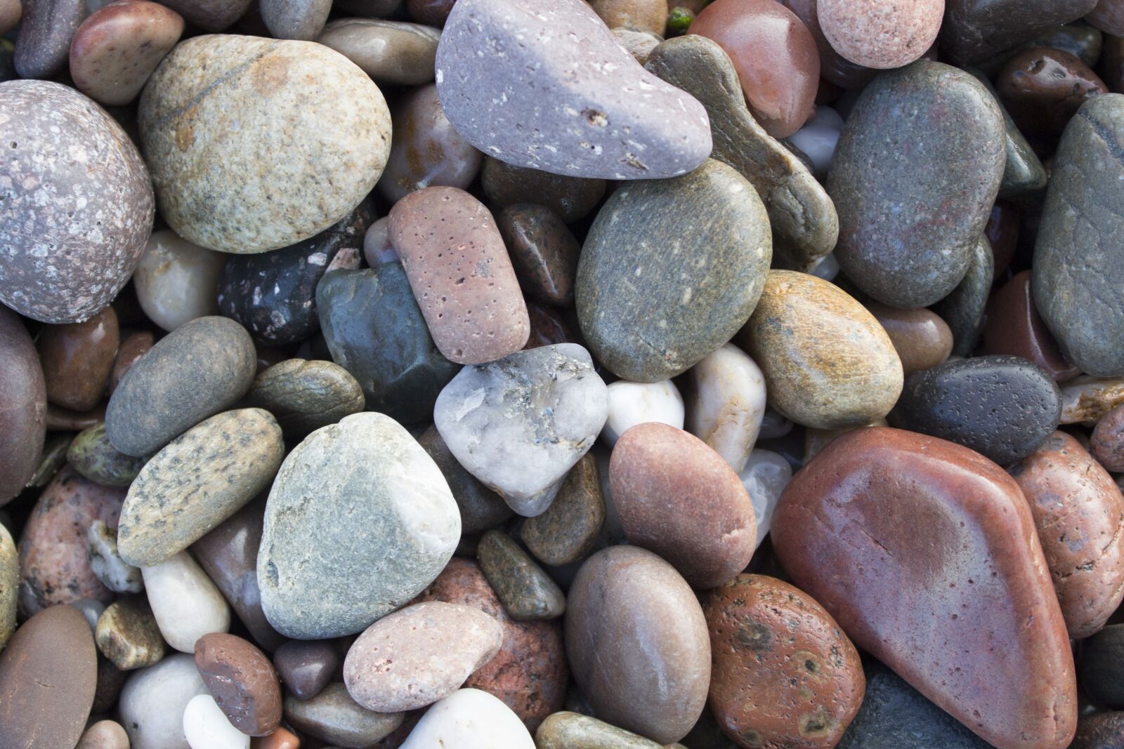 Canon EOS 650D (EOS Rebel T4i / EOS Kiss X6i) sample photo. Rocks, beach, ocean photography