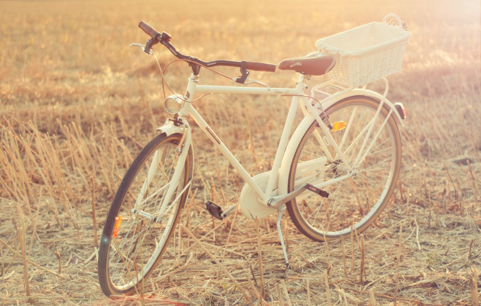 Nikon D90 sample photo. Bike, lavender, cart photography
