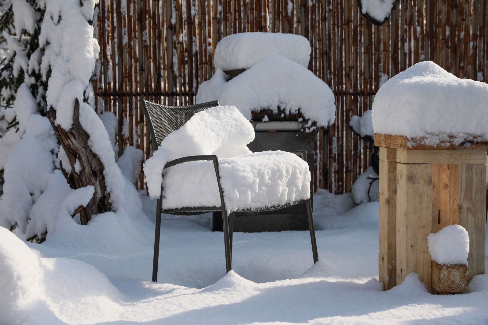 Canon EOS 5D Mark IV sample photo. Chair, garden, h p photography