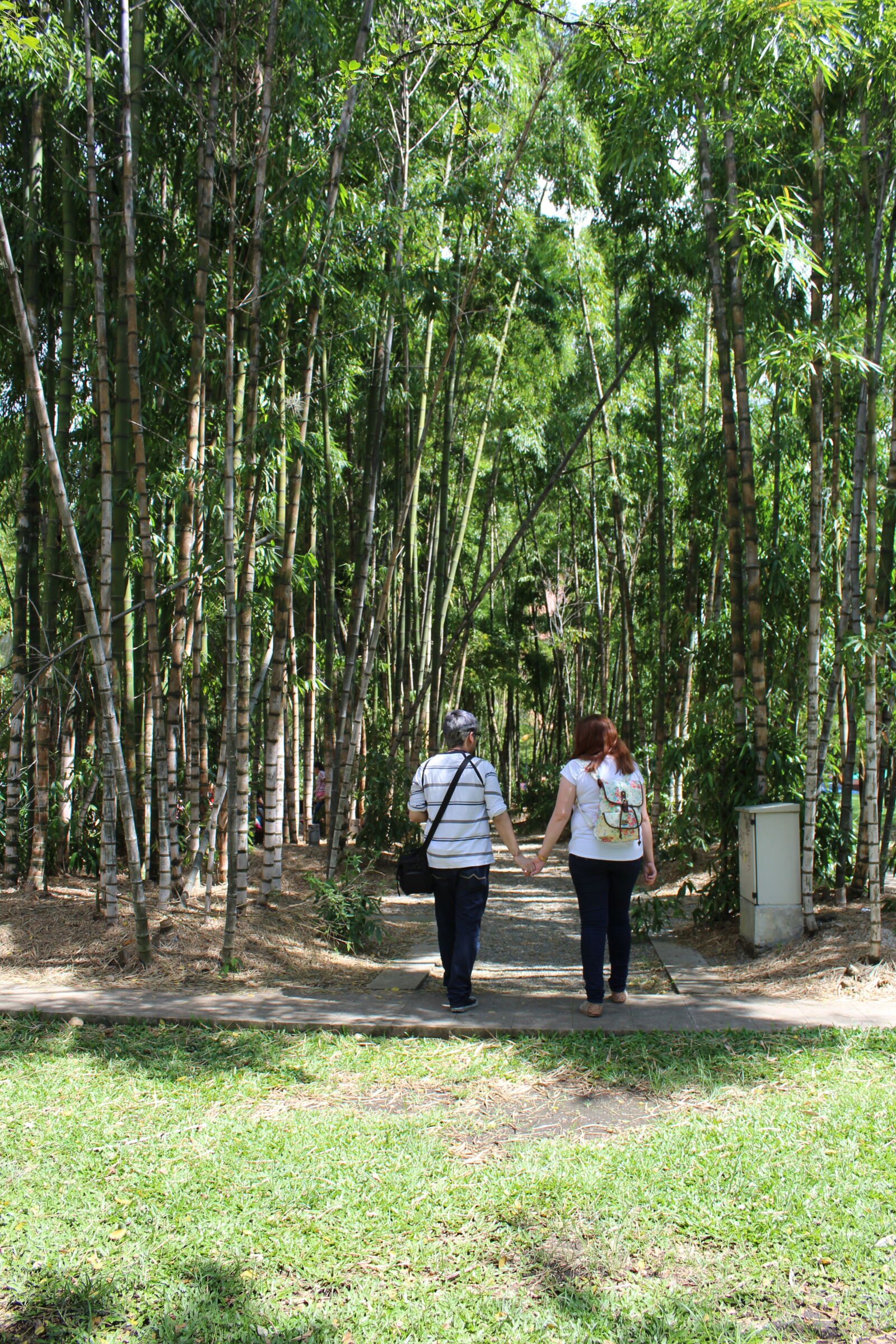 Canon EOS 1300D (EOS Rebel T6 / EOS Kiss X80) sample photo