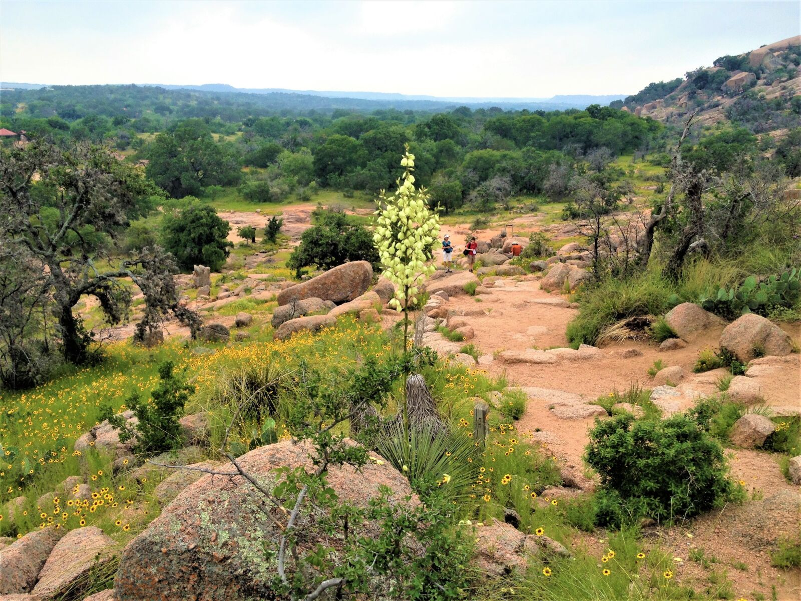 Apple iPhone 4S sample photo. Pink granite, yucca, hiking photography