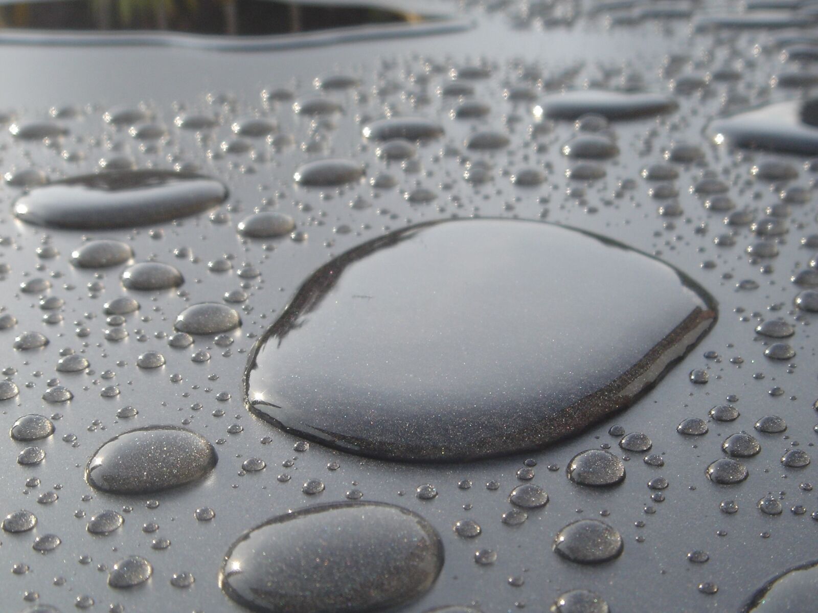 Sony DSC-T1 sample photo. Rain, puddle, raindrop photography