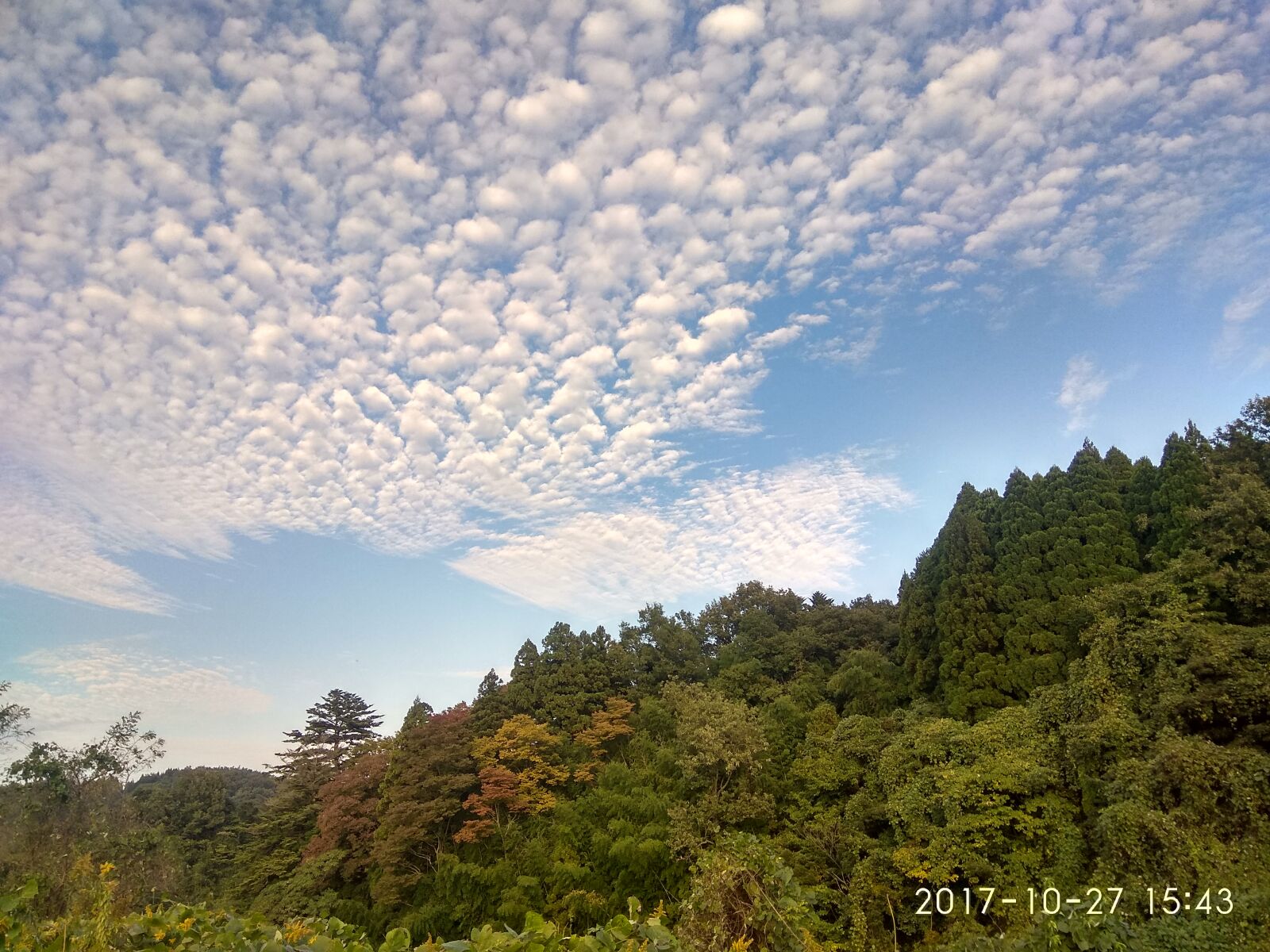 Xiaomi Redmi Note 4 sample photo