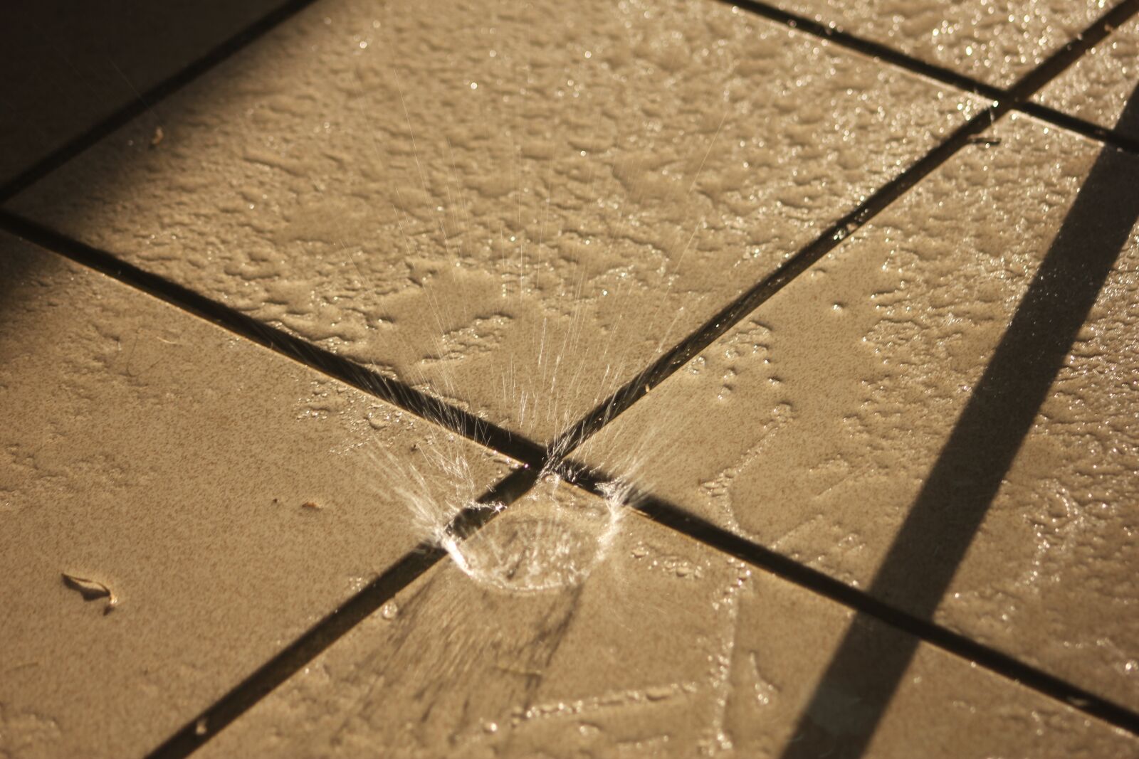 Canon EOS 550D (EOS Rebel T2i / EOS Kiss X4) sample photo. Water, drop, liquid photography