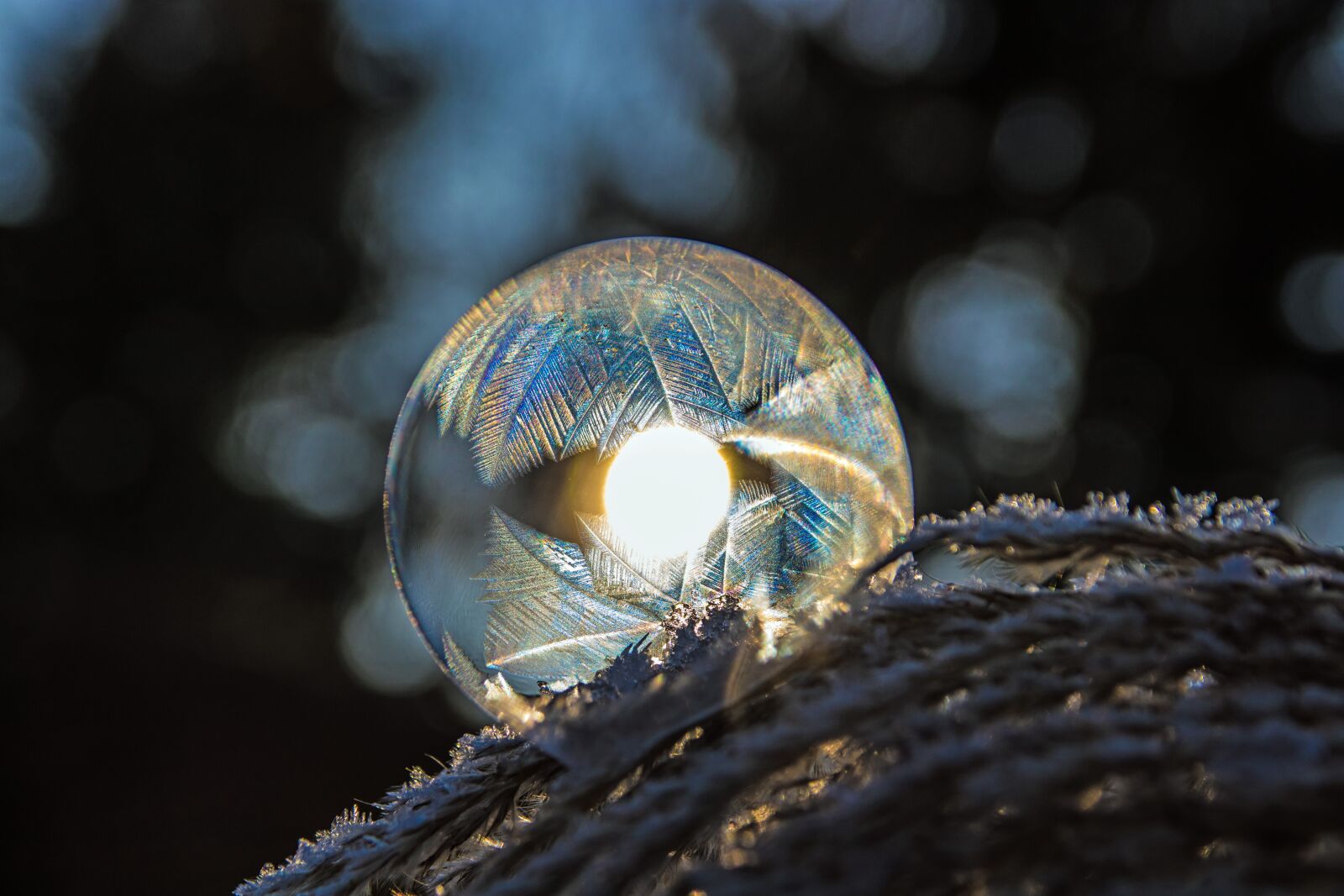 Canon EOS 80D sample photo. Ice bubble, frozen bubble photography