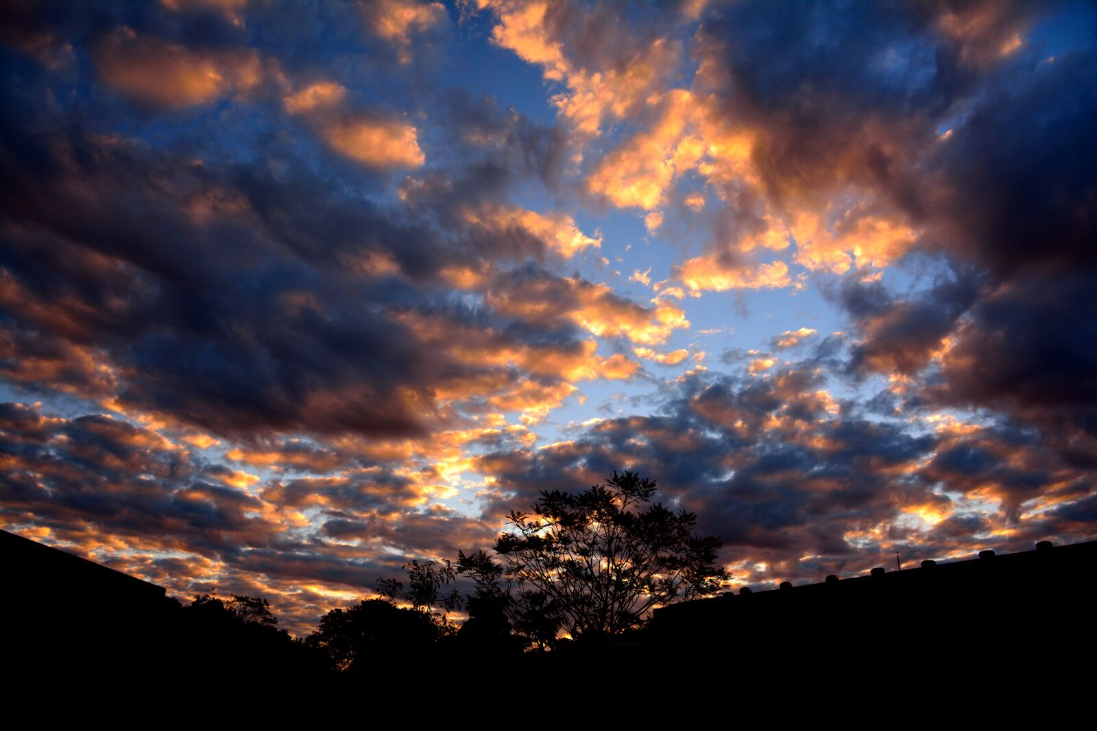 Nikon D7100 sample photo. Healing, glow, dreamlike photography