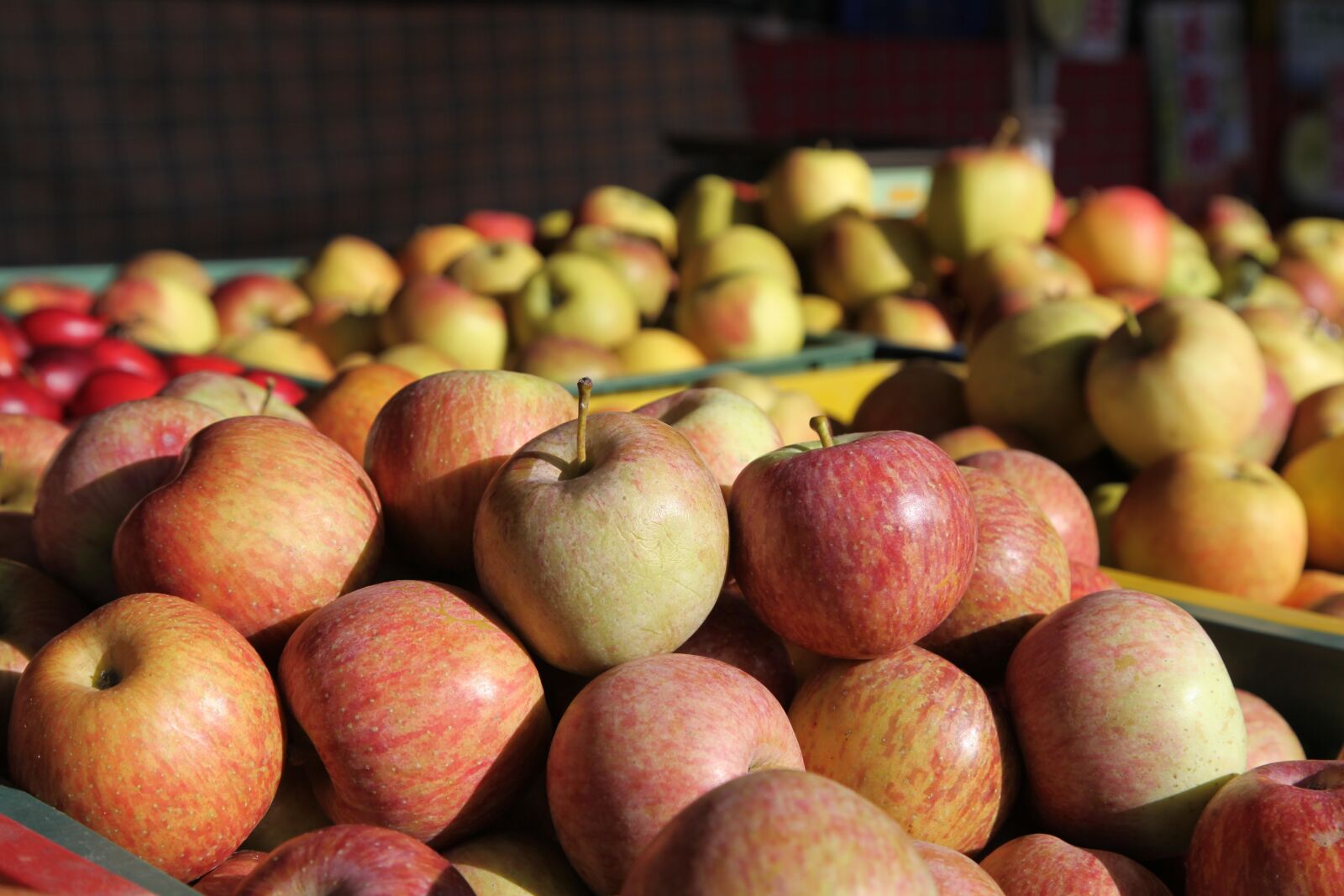 Canon EOS 5D Mark II sample photo. Apple, sale, fruit photography