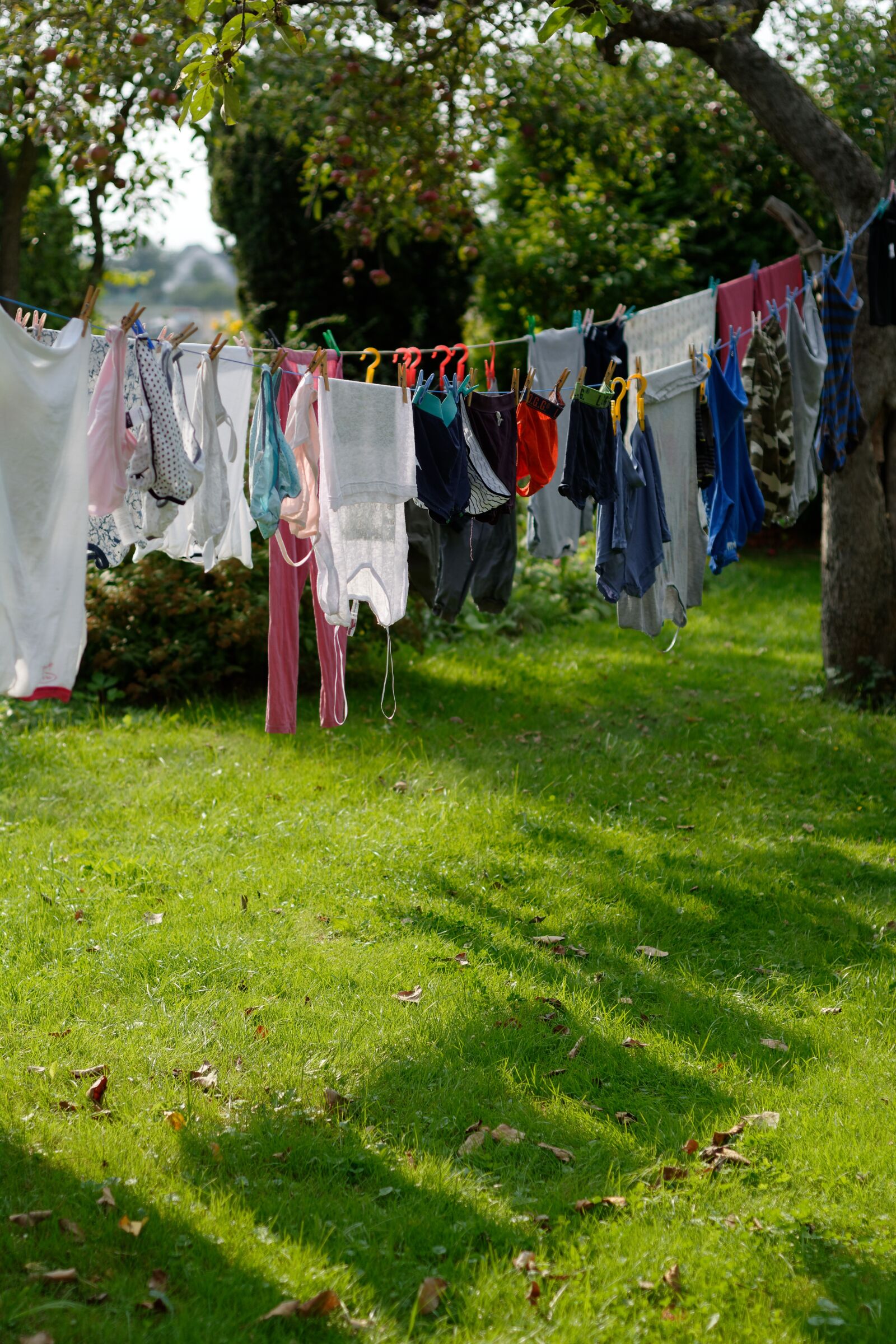 Nikon D5200 sample photo. Wash, dry, hang photography