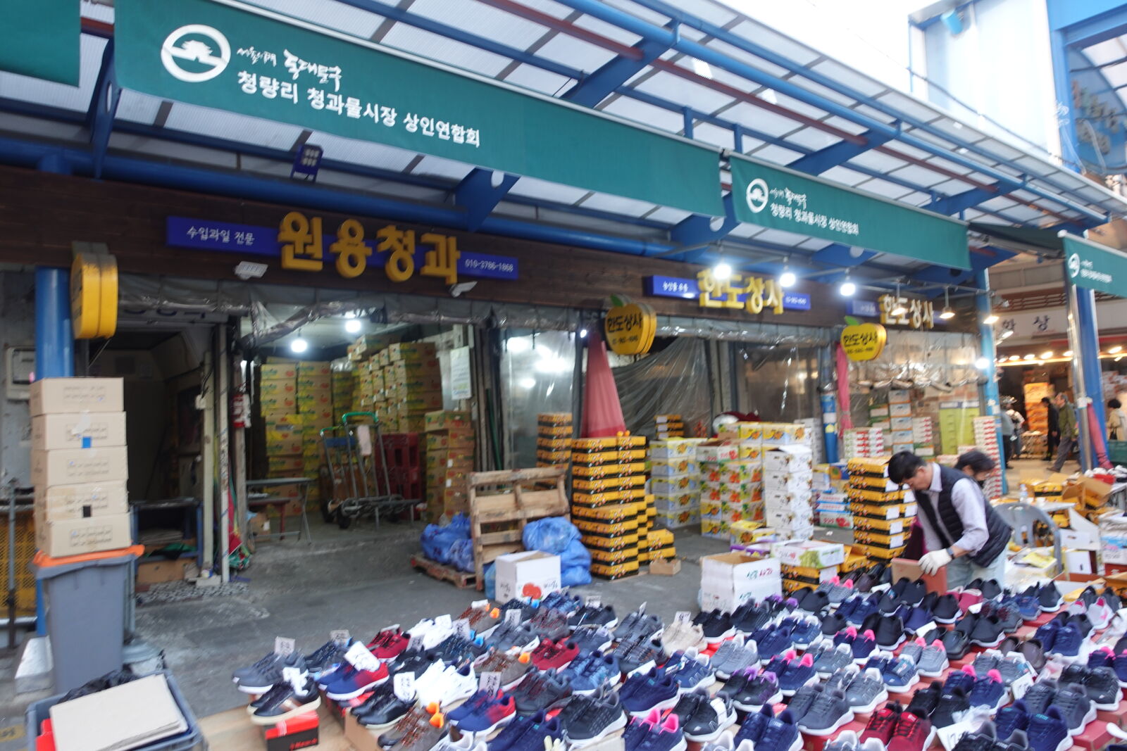 Sony ZV-1 sample photo
